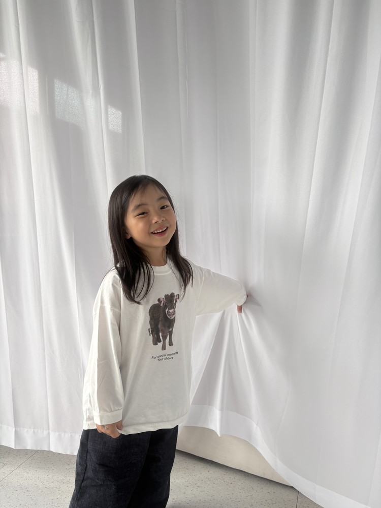 子牛T 12