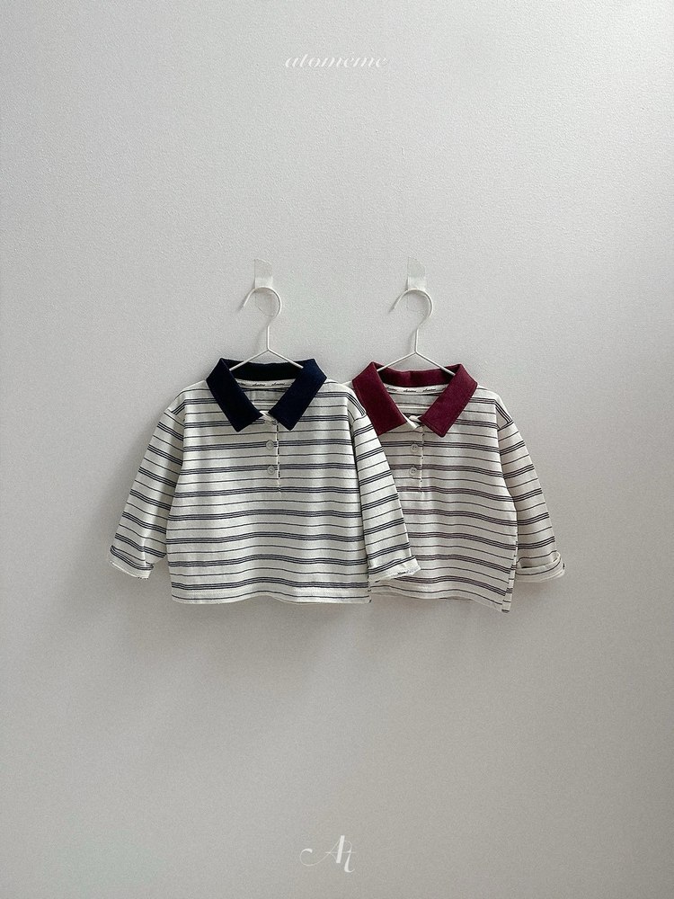 エイデンカラーT 6