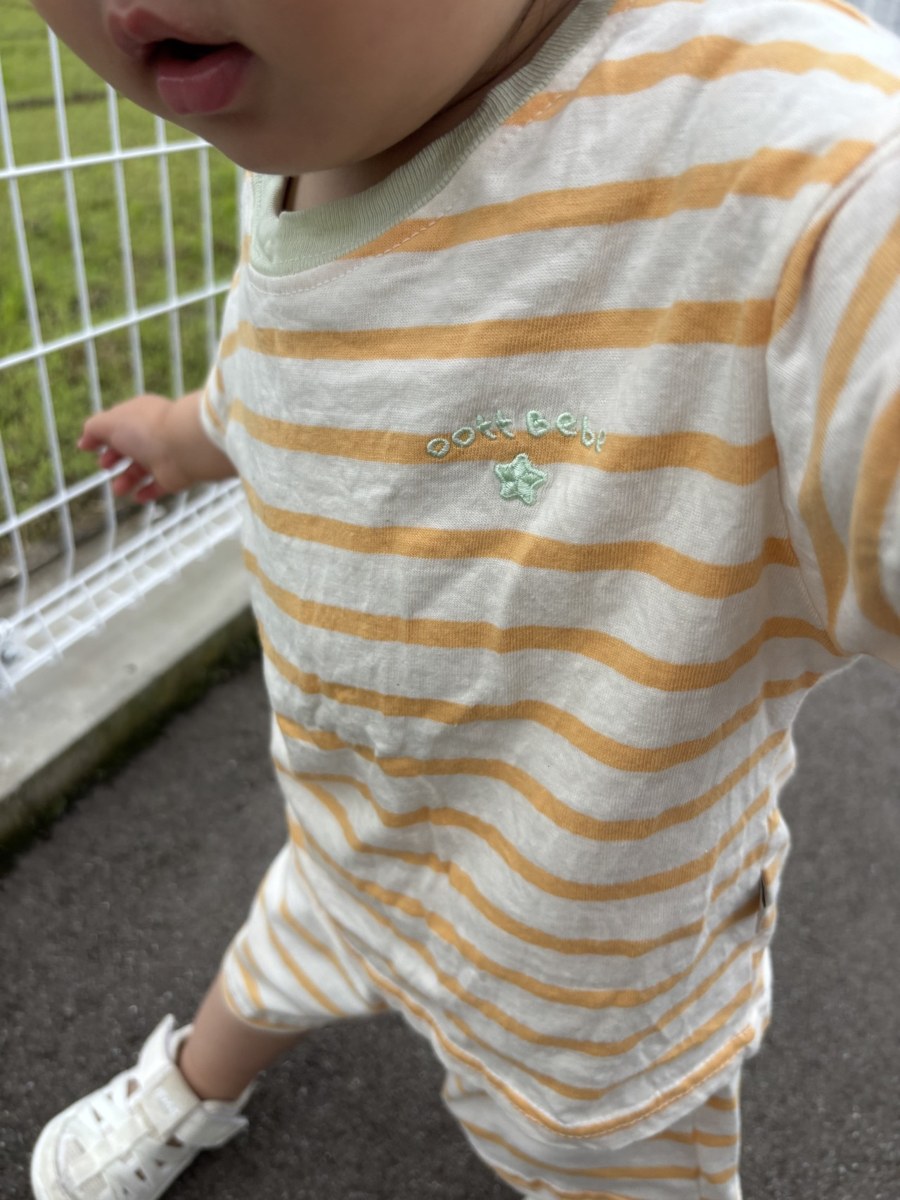 着用写真