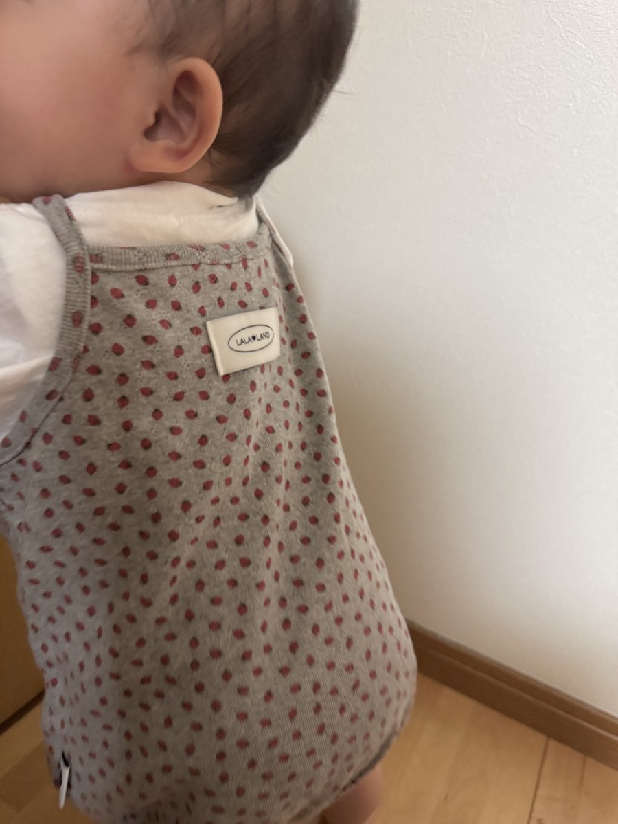 着用写真
