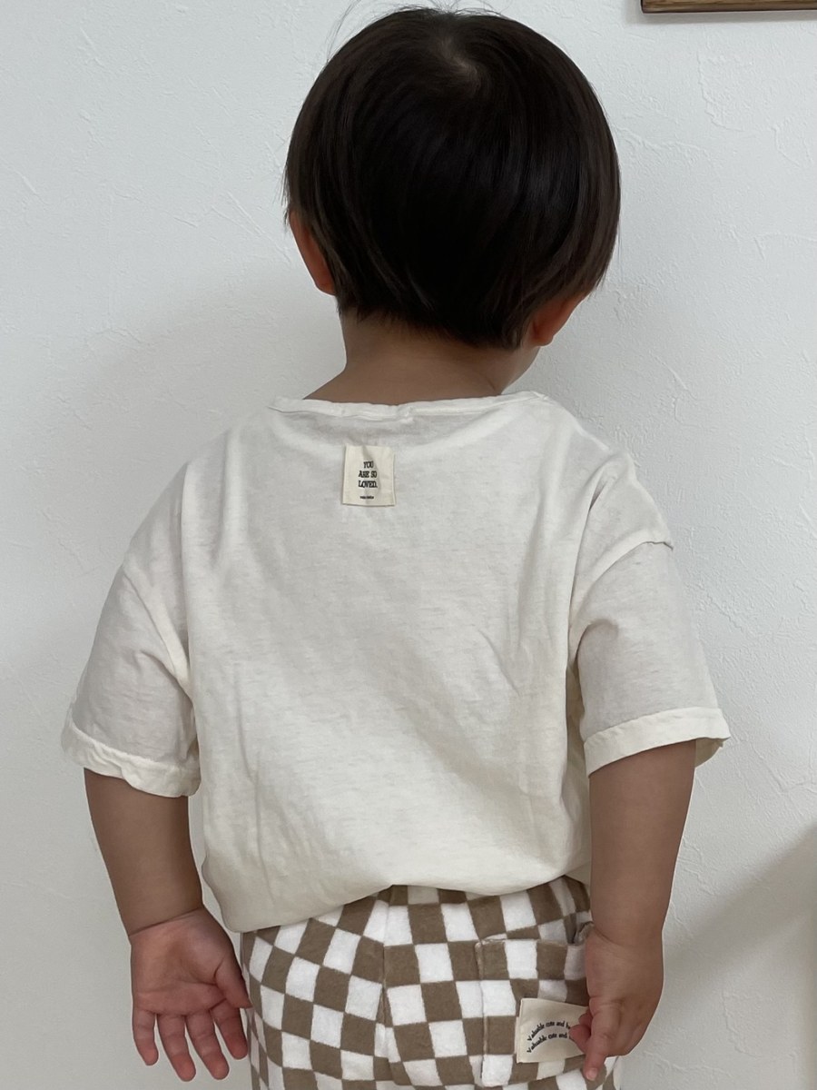 着用写真