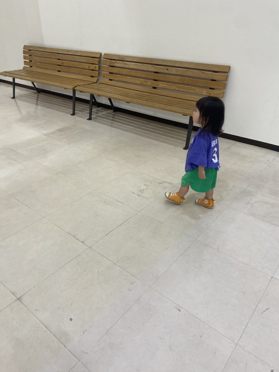 着用写真