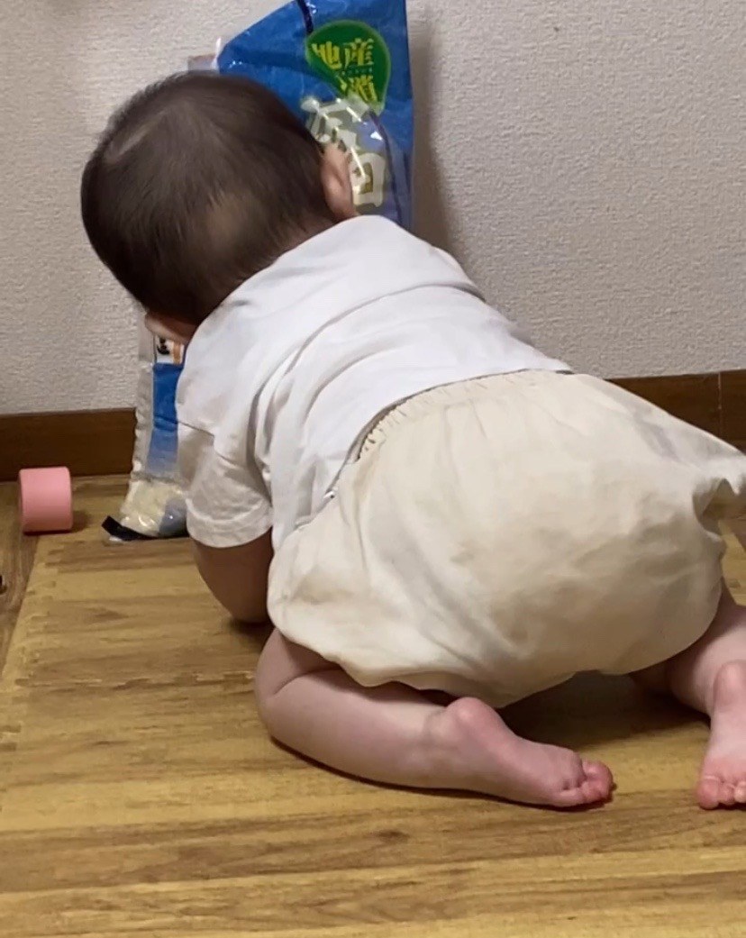 着用写真