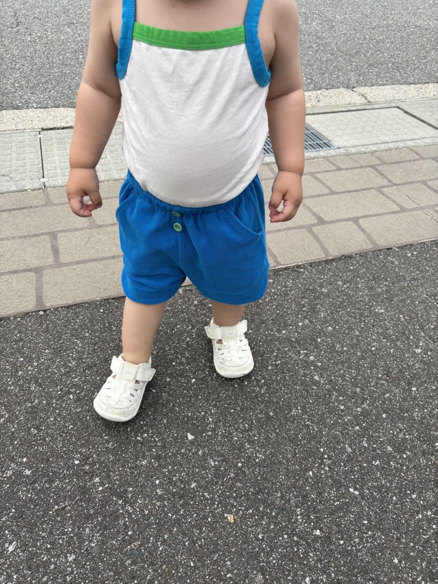 着用写真